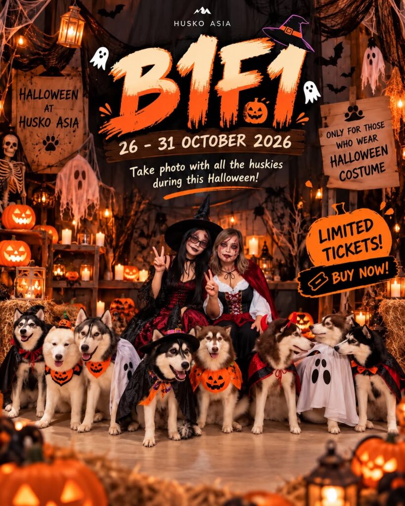 Two women in Halloween costumes sit with eight huskies dressed in themed outfits, surrounded by pumpkins and decorations at a Halloween event promotion for HuskO Asia, October 26-31, 2026.